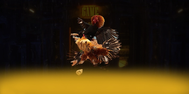 SA88 - Cổng cá cược uy tín tại Việt Nam SA88 - Cổng cá cược uy tín tại Việt Nam