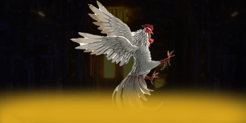 
Trải nghiệm FC88 - Trang game có thưởng lớn được quan tâm
