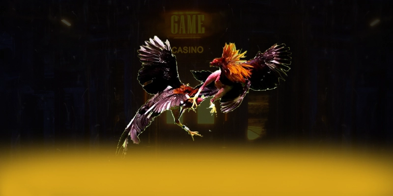 Vinbet - Trang game với chính sách tặng thưởng đẳng cấp được giới cược thủ đánh giá cao – Khám phá phần thưởng khủng từ Vinbet Vinbet - Trang game với chính sách tặng thưởng đẳng cấp được giới cược thủ đánh giá cao – Khám phá phần thưởng khủng từ Vinbet