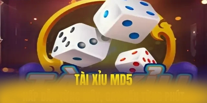 LC88 - Cổng giải trí uy tín trong giới game thủ LC88 - Cổng giải trí uy tín trong giới game thủ