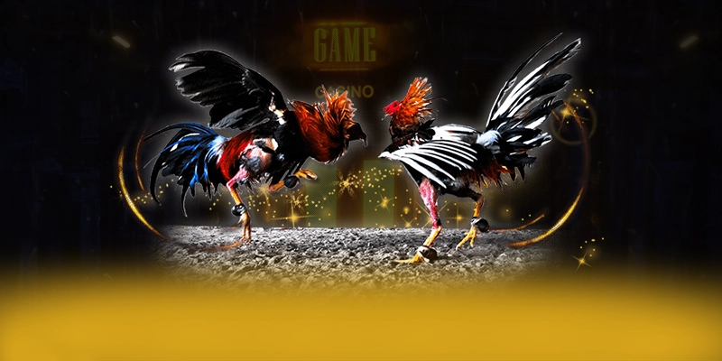 Lu88 - Ứng dụng giải trí đang được quan tâm hàng đầu 2025 – Khám phá danh mục giải trí của Lu88