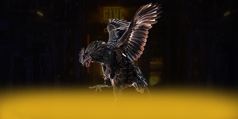 VWIN – Cổng cá cược được tin dùng, được cộng đồng game thủ tin tưởng. VWIN – Cổng cá cược được tin dùng, được cộng đồng game thủ tin tưởng.