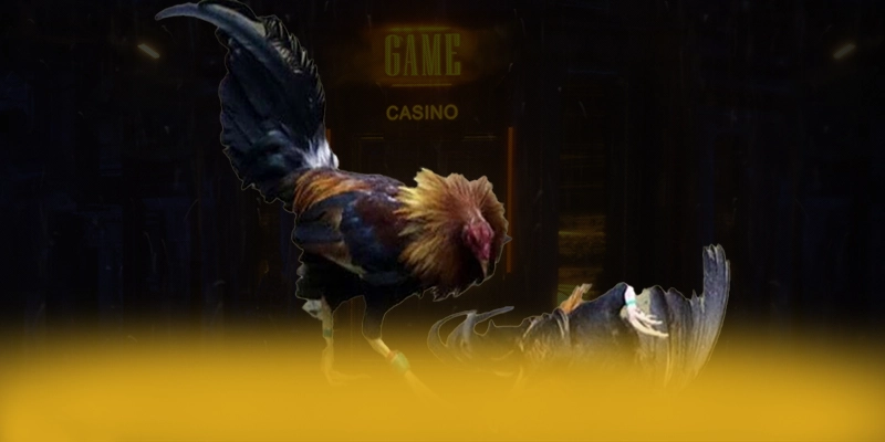 789P - Cổng cá cược tối ưu được cộng đồng đánh giá cao 789P - Cổng cá cược tối ưu được cộng đồng đánh giá cao