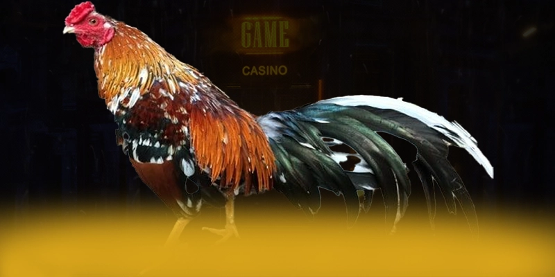 Tài xỉu online - Trang game an toàn trên thị trường – Cập nhật thông tin về Tài xỉu online