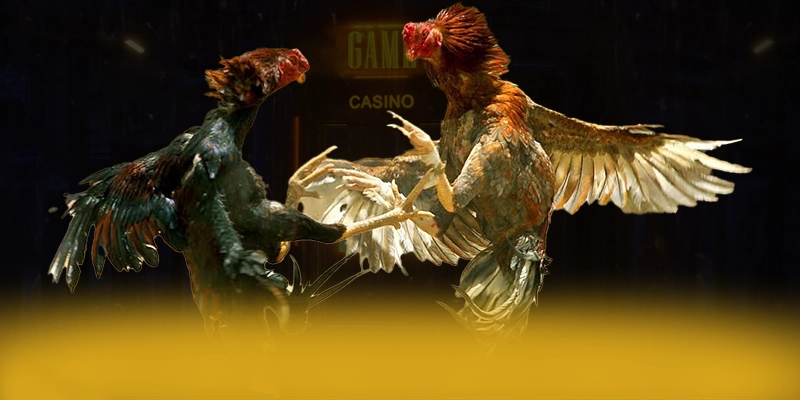 CONGA6789 – Cổng game bài uy tín, được cộng đồng đánh giá tích cực.