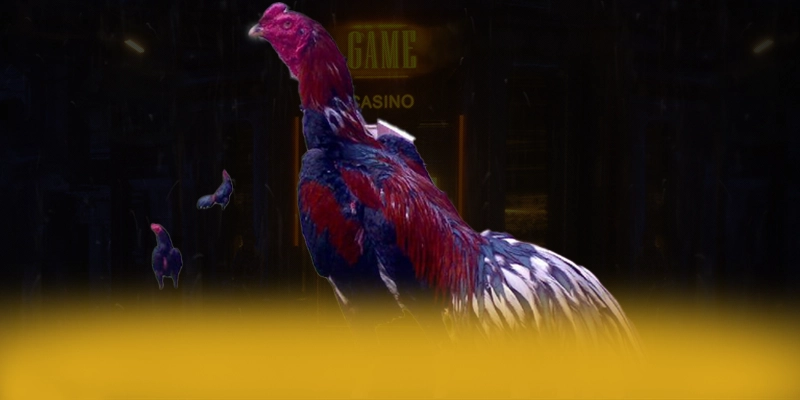 DAGA88 - Nhận định cuối cùng một cách toàn diện.