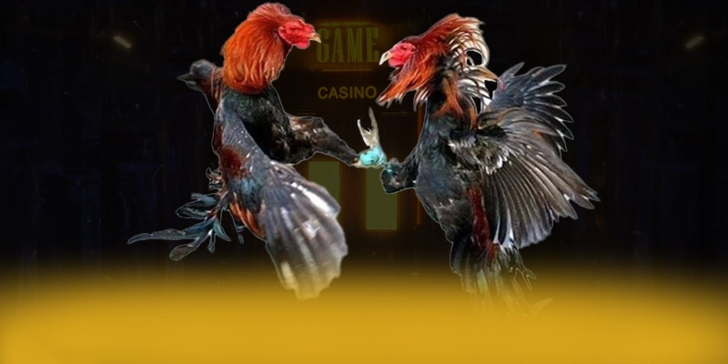 DAGA88 – Cổng giải trí uy tín số 1, đang làm mưa làm gió trên thị trường. DAGA88 – Cổng giải trí uy tín số 1, đang làm mưa làm gió trên thị trường.