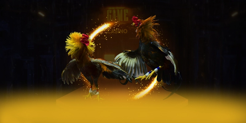 Khám phá ngay 988bet - Nhà cái được yêu thích nhất trên thị trường
Khám phá ngay 988bet - Nhà cái được yêu thích nhất trên thị trường