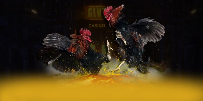 789P - Cổng trò chơi có quà tặng đặc biệt được người chơi tin tưởng – Khám phá ưu đãi hot của 789P 789P - Cổng trò chơi có quà tặng đặc biệt được người chơi tin tưởng – Khám phá ưu đãi hot của 789P