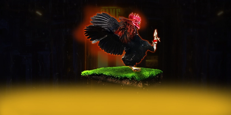 DAGA88 – Sảnh game được nhiều người chơi lựa chọn, đang làm mưa làm gió trên thị trường.