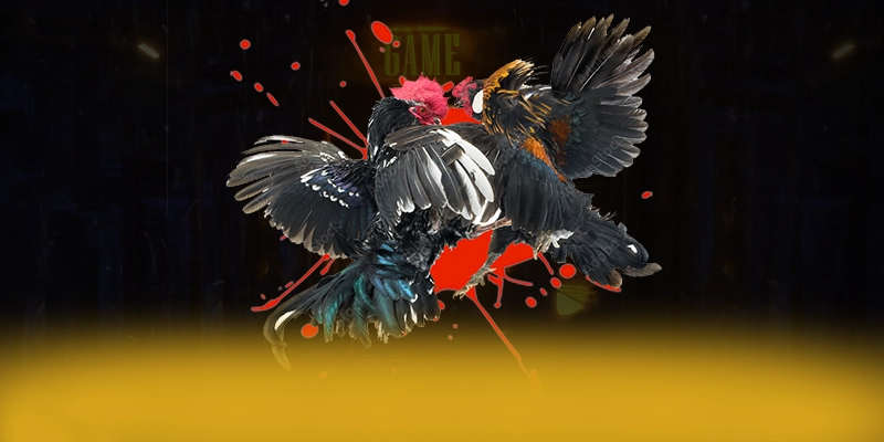 SA88 – Sân chơi có thưởng lớn, được giới cược thủ đánh giá cao. SA88 – Sân chơi có thưởng lớn, được giới cược thủ đánh giá cao.