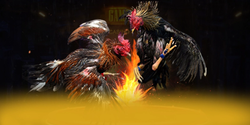 UU88 – Thương hiệu uy tín số 1, được cộng đồng game thủ tin tưởng.