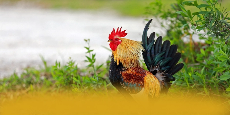 tài xỉu online - Cổng game đang được quan tâm hàng đầu được yêu thích nhất – Khám phá ngay các trò chơi tại tài xỉu online tài xỉu online - Cổng game đang được quan tâm hàng đầu được yêu thích nhất – Khám phá ngay các trò chơi tại tài xỉu online