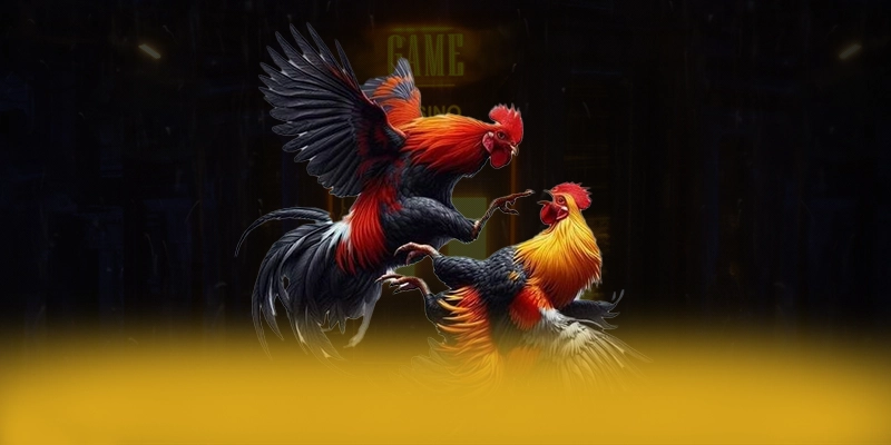 conga6789 – Sân chơi uy tín, được cộng đồng đánh giá tích cực.