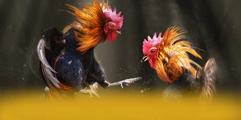 tỷ lệ kèo bóng đá - Sảnh game chất lượng tại Việt Nam tỷ lệ kèo bóng đá - Sảnh game chất lượng tại Việt Nam