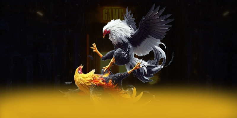 VWIN - Trang game tốc độ cao số 1 Việt Nam VWIN - Trang game tốc độ cao số 1 Việt Nam