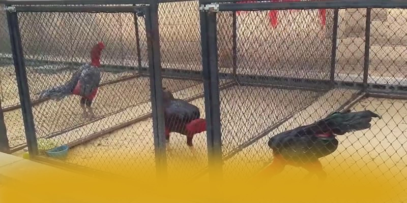 WIN79 - Cổng trò chơi chuyên nghiệp trong giới game thủ