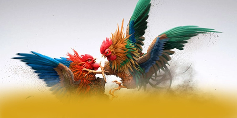 BL555 - Sân chơi uy tín trong giới game thủ BL555 - Sân chơi uy tín trong giới game thủ