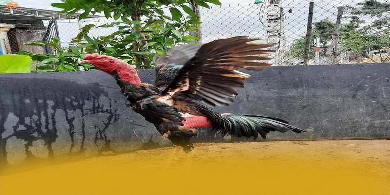 NK88 – Cổng giải trí chất lượng, được cộng đồng game thủ tin tưởng.