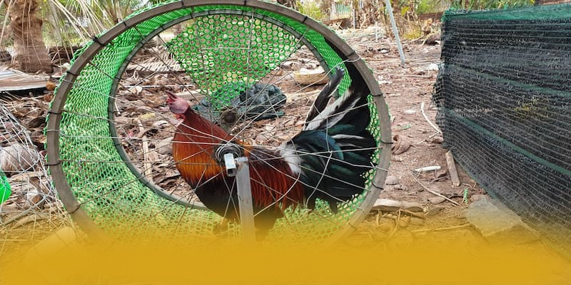 [THUONG_HIEU] - Cổng trò chơi chất lượng hiện nay